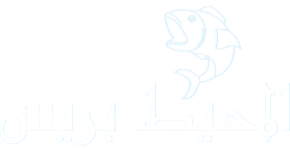 المحيط بريس